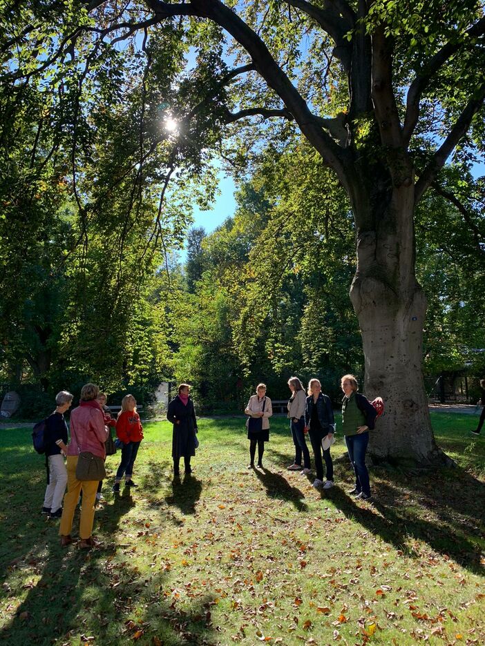 Frauen im Park unter einer Blutbuche an einem sonnigen Herbsttag